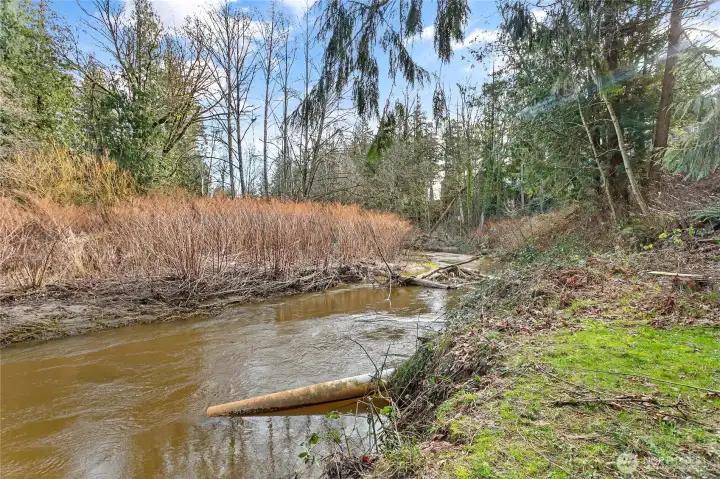 Fishtrap Creek -This is a great place to cool down at or even float down during the summer!