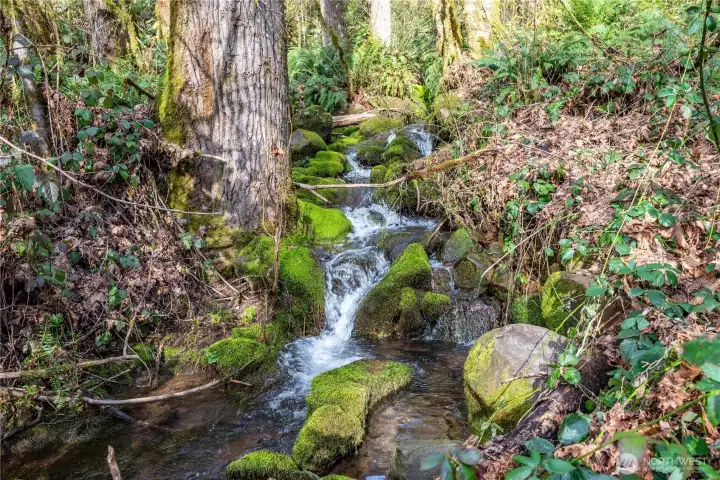 Creek running through Property
