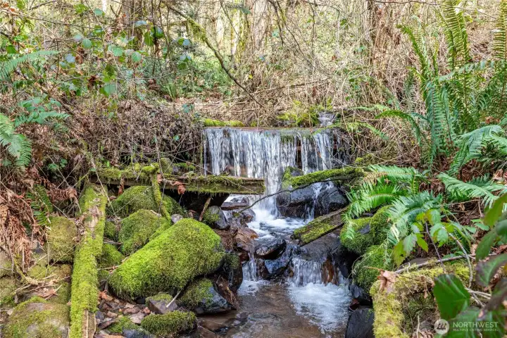 Creek & Waterfall