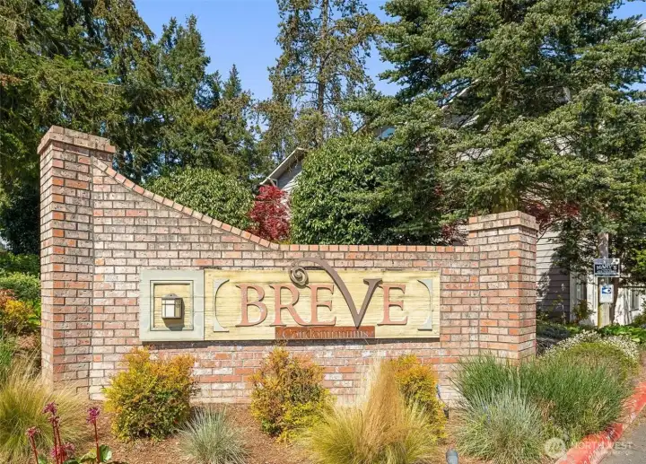 Welcome to Breve Condos