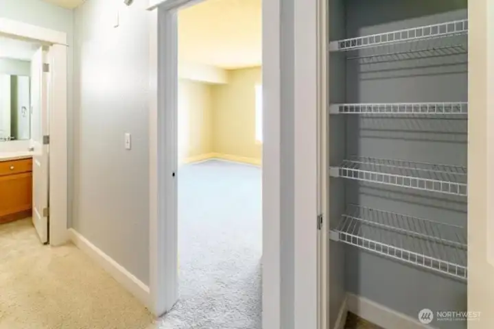 Multiple hall closets with lots of storage space (larger closet on opposite wall just outside of bathroom)