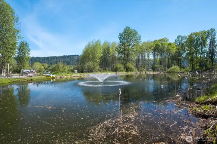 Community Pond
