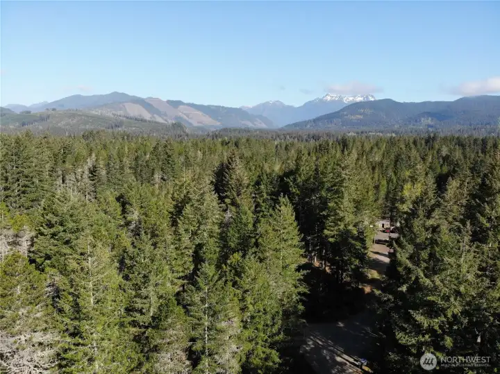 Sitting at the base of the Olympic Mountains and a short distance to Lake Kokanee (non-motorized), Lake Cushman, Hoodsport & Hood Canal, these lots provide a base camp for unlimited recreational opportunities with future build opportunities. Sitting at the base of the Olympic Mountains and a short distance to Lake Kokanee (non-motorized), Lake Cushman, Hoodsport & Hood Canal, these lots provide a base camp for unlimited recreational opportunities with future build opportunities.