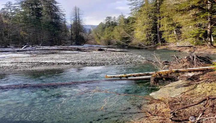 Where the North Fork Skokomish meets Lake Cushman, looking toward Staircase in Olympic National Park.