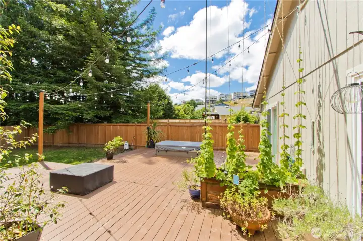 Hello sunshine! This TimberTech composite deck is perfect for entertaining around your fire pit and hot tub!