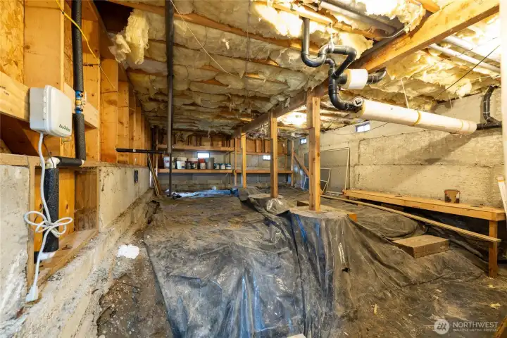 Ample storage in the crawlspace