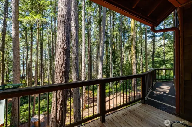 Covered deck is lovely for observing the many birds and even a peek of water through the trees