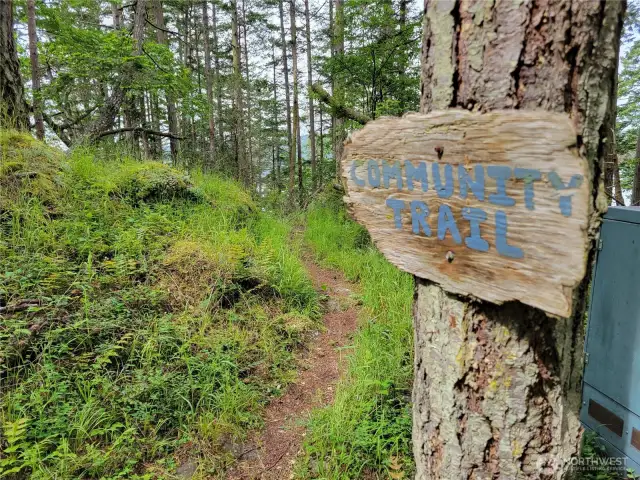 One of three trails bisecting island.