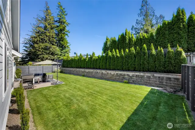 Backyard privacy