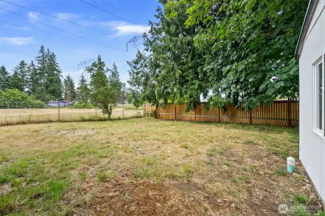 Large backyard!