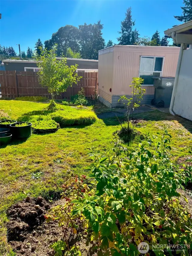 Nice Backyard with herb garden