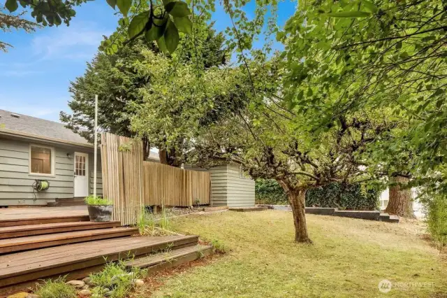Back yard with ample garden space and fruit trees.