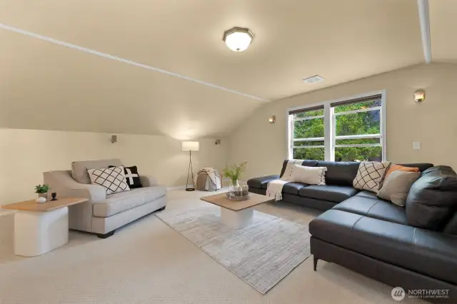Upstairs media room.
