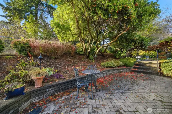 Paved backyard patio lower level