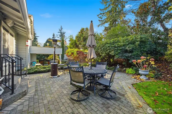 View of the backyard trees and shrubs