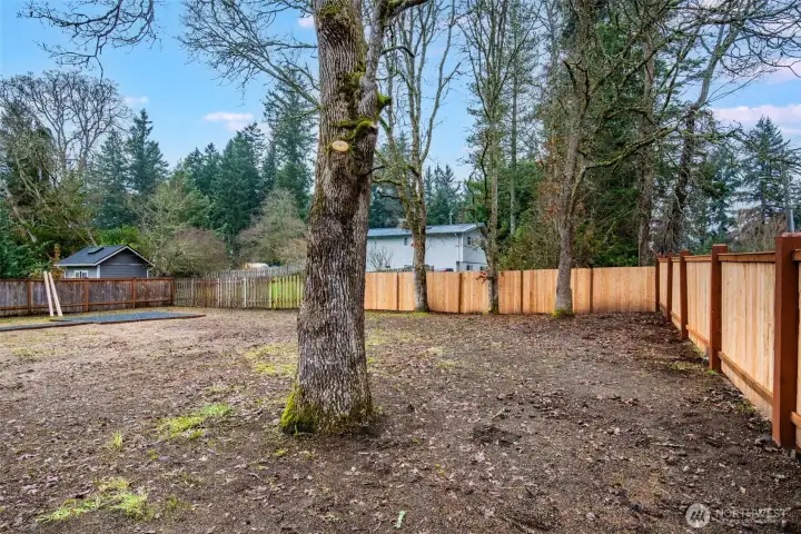 Seeded ready for a new spring lawn