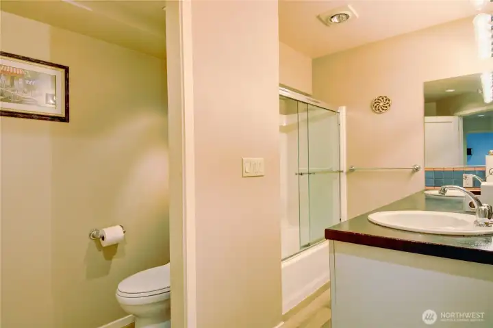 Lower level full bath.