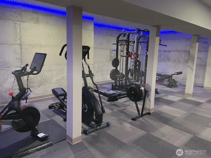 715 sf gym in basement
