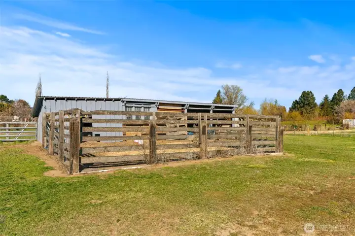 Chicken coop and pasture area for horses