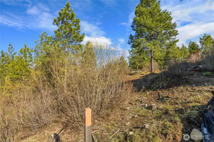 Corners well marked.