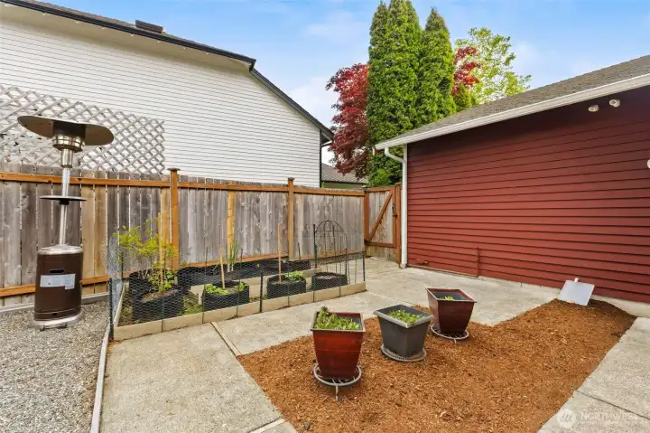 Garden area with some established container plants