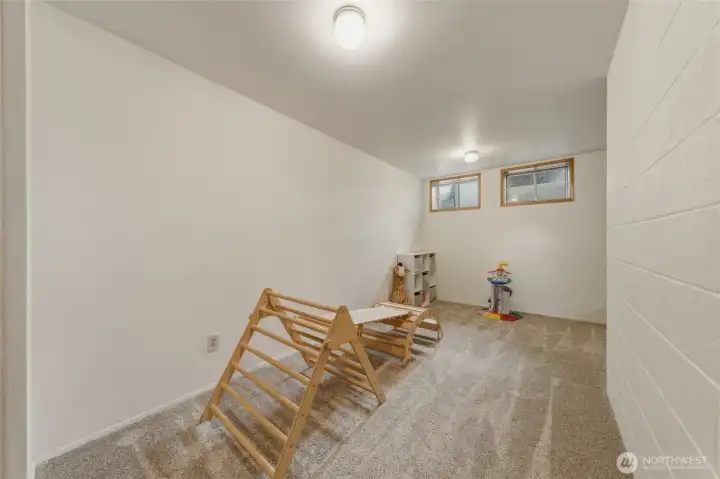 Basement Great Room