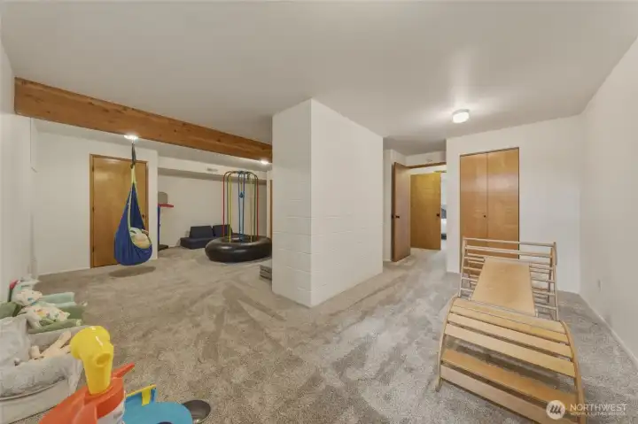 Basement Great Room