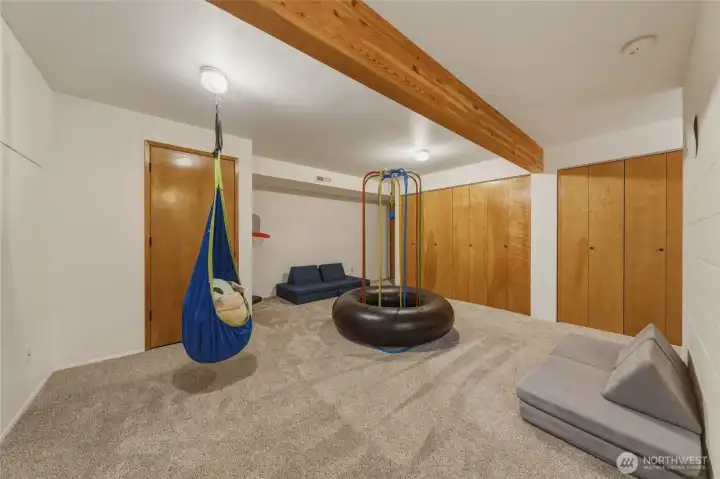 Basement Great Room