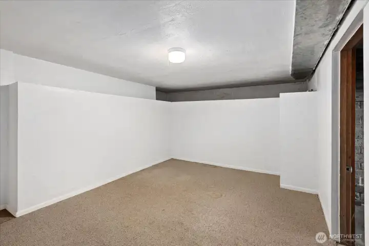Flex space in basement