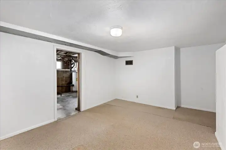 Flex space in basement