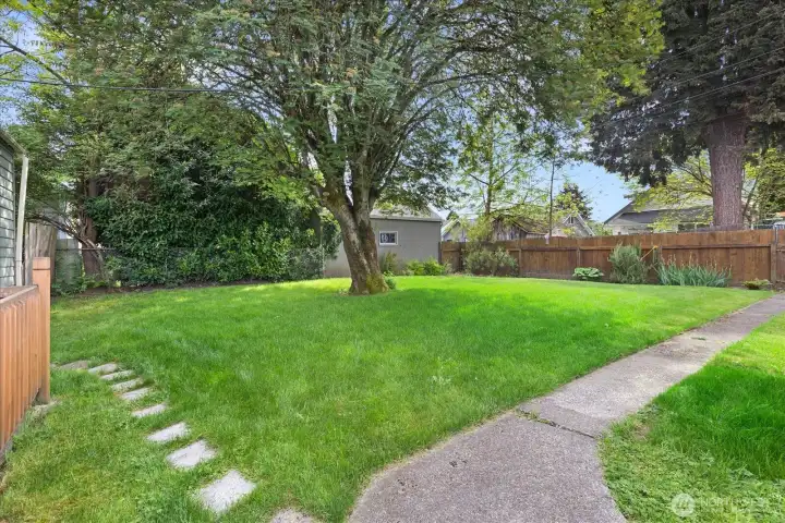 Backyard