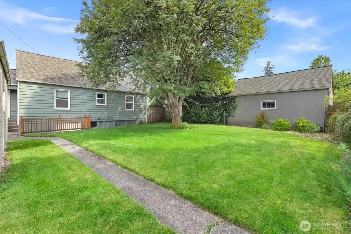 Backyard