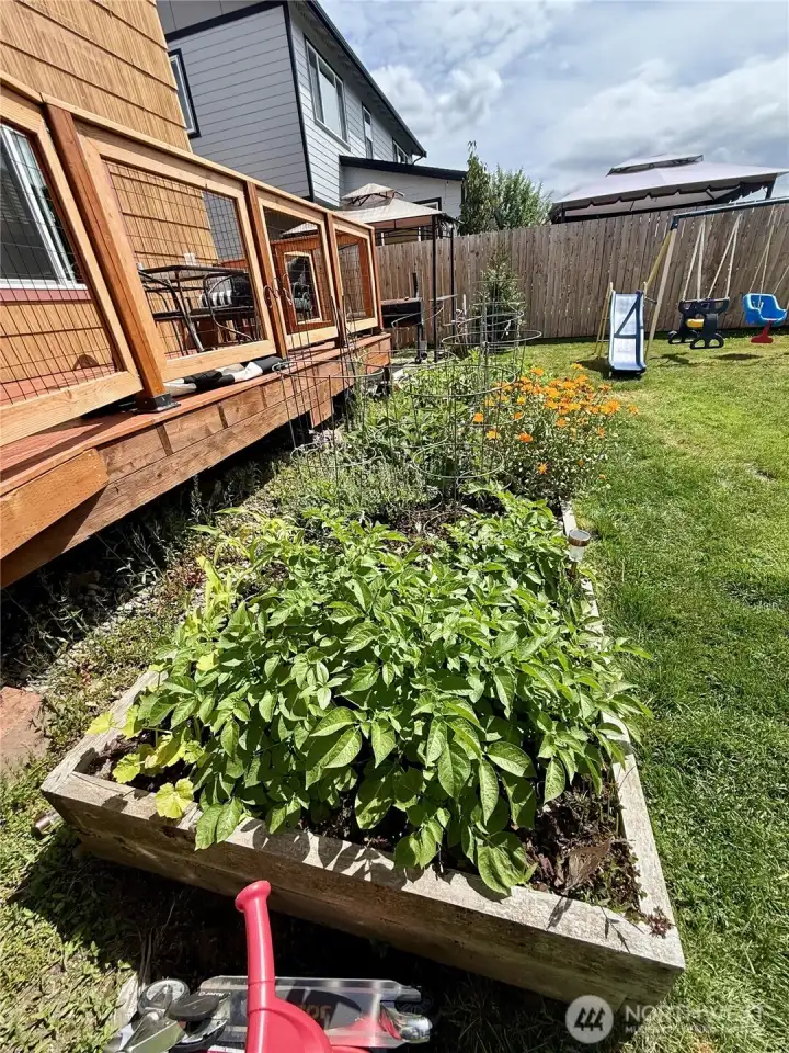 mature Garden beds