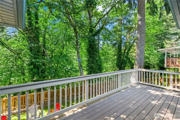 Elevated deck surrounded by mature trees for added privacy. Elevated deck surrounded by mature trees for added privacy.