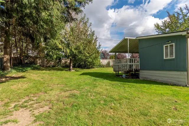 Another view of the back yard.