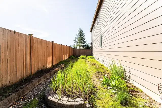 Vegetable Garden