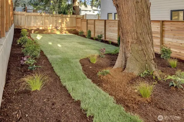 Large, fully fenced yard.