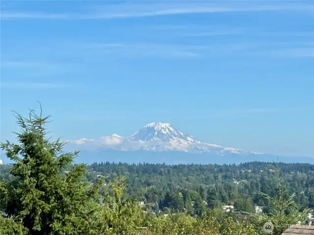The mountain is out!  Beautiful Mt Rainier.