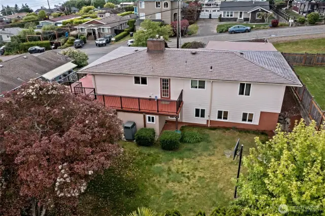 Backyard.