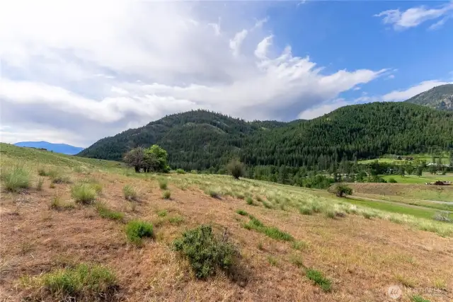 View looking Southeast towards the town of Twisp only 1.5 miles away to amenities.