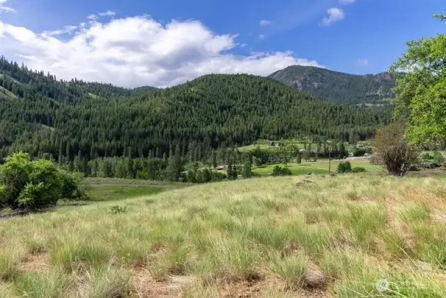 Bench area level ground has bunch grass and balsamroot wildflowers along with vintage apple trees that watch the Mountain scene.