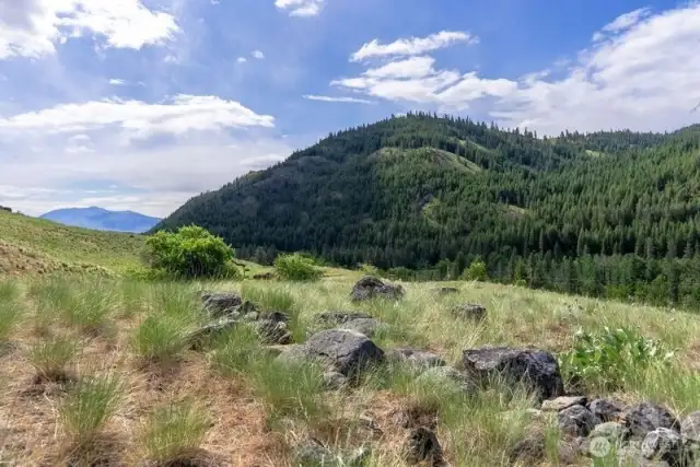7.33 acre has a great landscape feature 'Rock Garden' looking East SE.