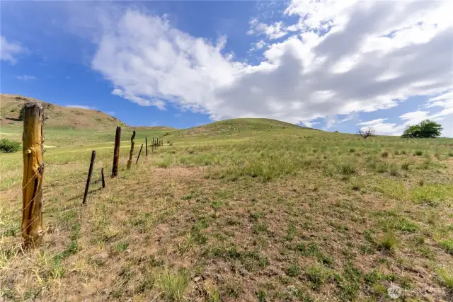 Walk up the fence-line to top of property to enjoy views all around.