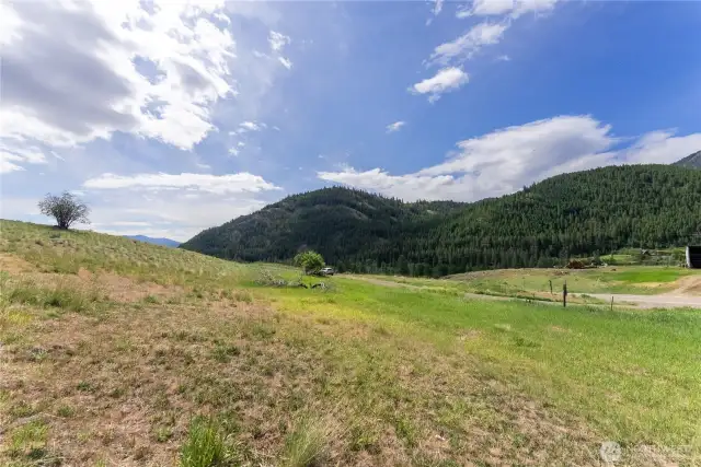 7.33 Acre land near driveway and Twisp River Road.