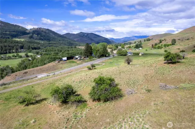 Scattered apple trees on acreage.