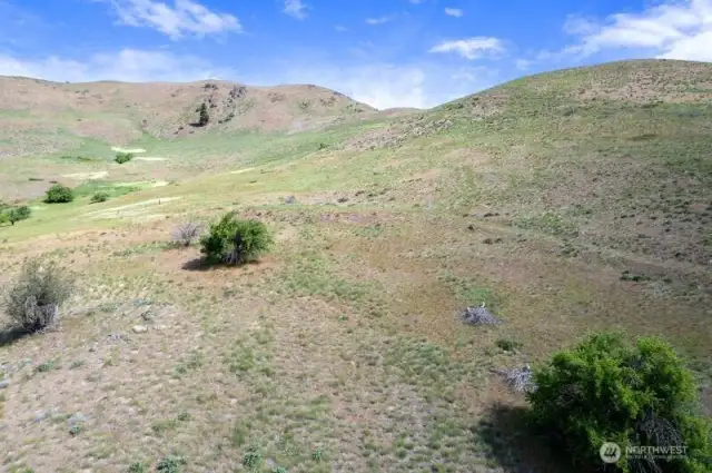 Trace of stagecoach trail  through property!