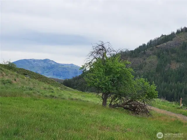 7.33 Acres Twisp off Twisp River Road is a great location only about 1.5 Miles from everything Twisp has to offer!