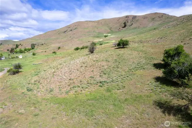 Vintage apple trees on this property.