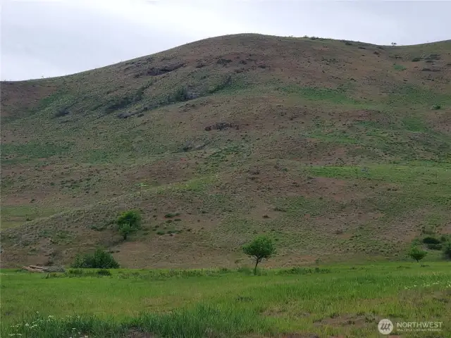Level land at toe of slope near large acreage neighbor.