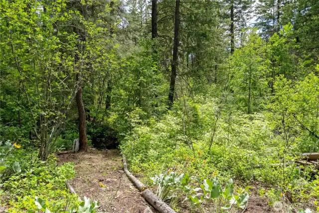 Walk down to the creek from your back porch.